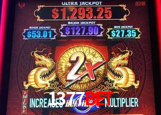 1377bet Salvador - Studio Tour