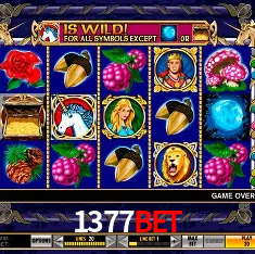 1377bet Belo Horizonte - Reivindique Bonus